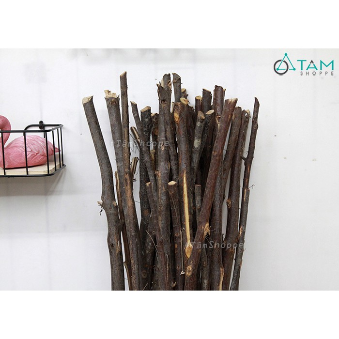 Cành cây củi khô trang trí đường kính 1-2cm dài 120-130cm ngẫu nhiên W-CUI-05 TAN
