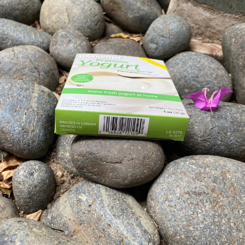 Men làm sữa chua Probiotic 18gr