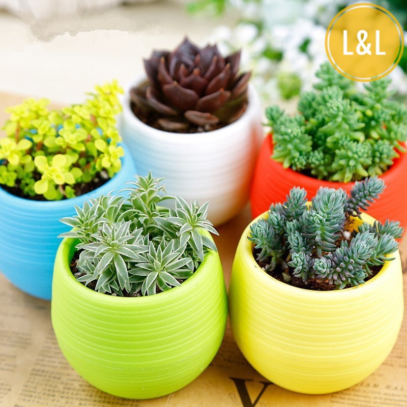 Chậu cây, chậu hoa  nhựa nhiều màu sắc trang trí nhà cửa văn phòng, bàn làm viêc, phòng khách siêu bền đẹp