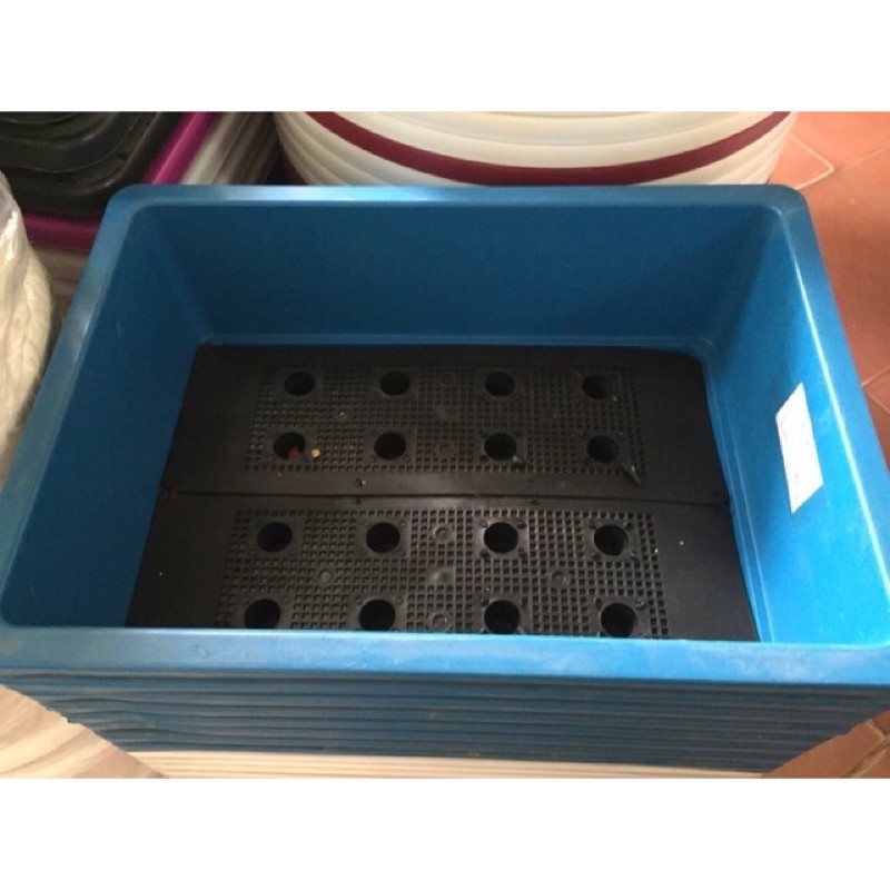 5 chậu trồng rau có lót đáy