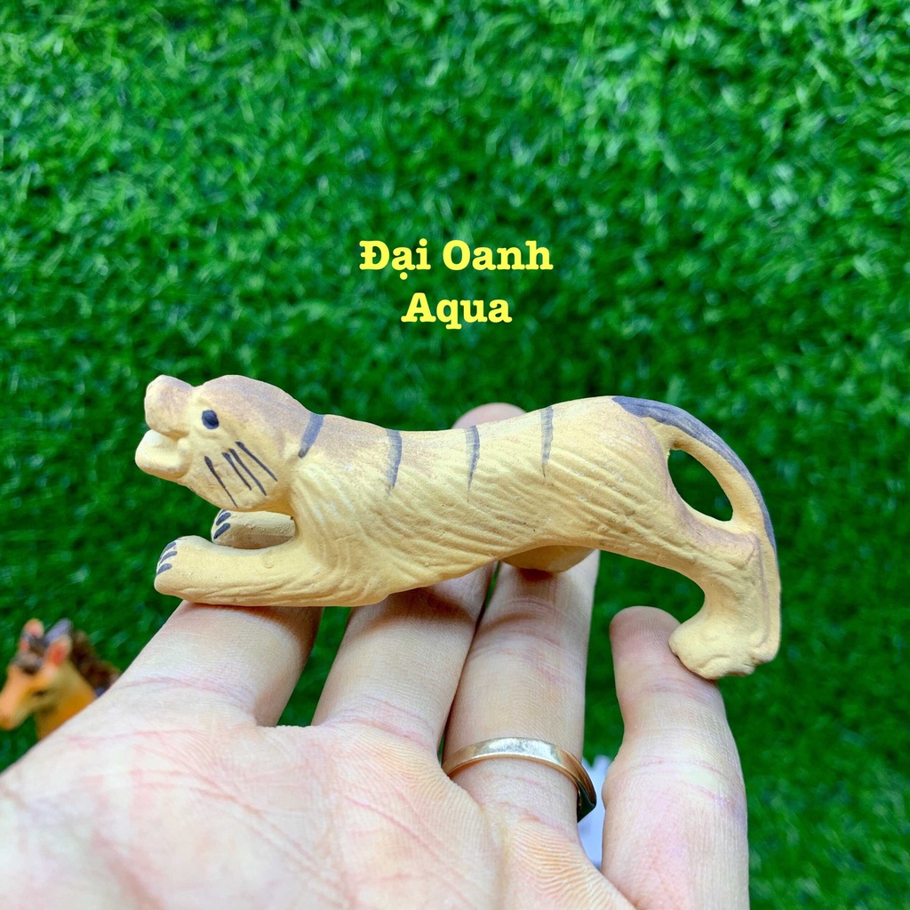 Tiểu cảnh trang trí hồ cá, bể cá, chậu cây, hòn non bộ, sân vườn