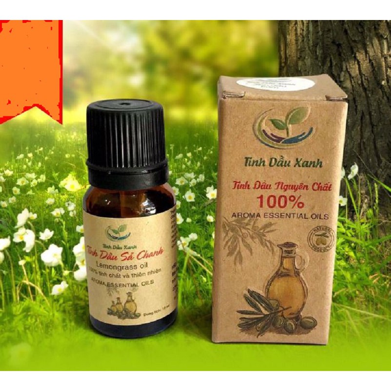 [NHIỀU MÙI] Tinh Dầu Thơm Phòng- Tinh Dầu Xanh Thái Nguyên Dung Tích 10ml