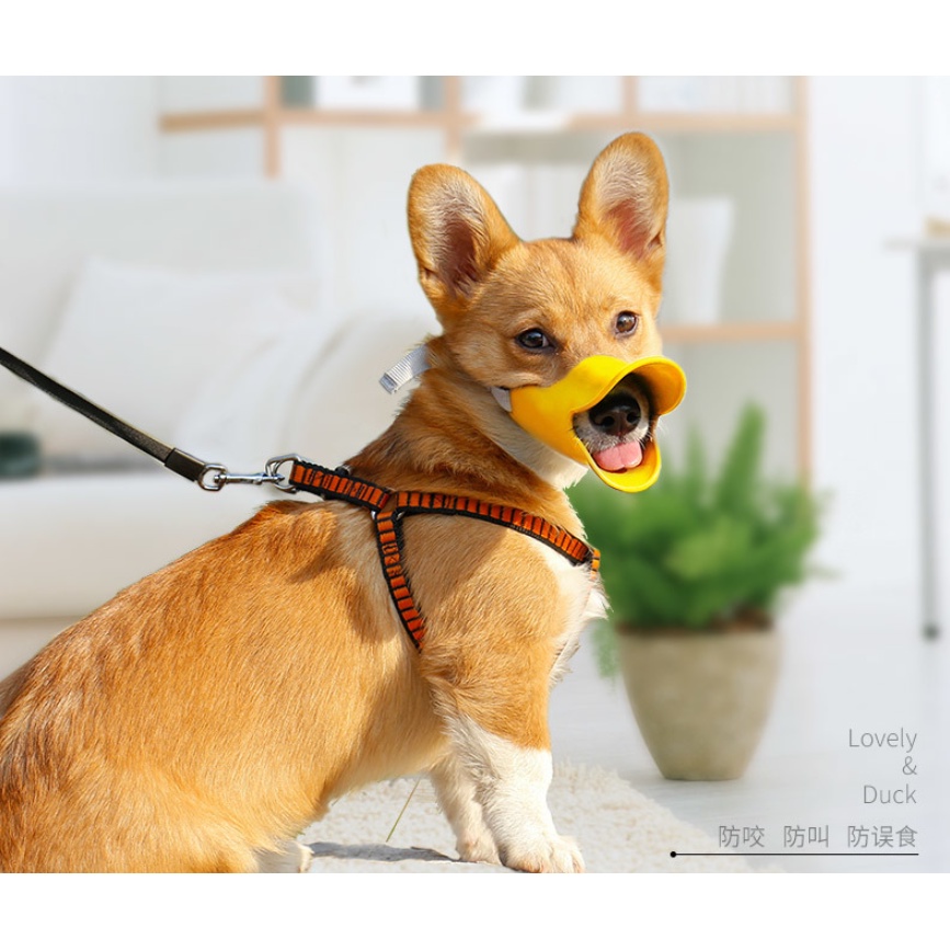 Rọ mõm chó/bịt miệng chó hình mỏ vịt nhiều màu rất dễ thương chất liệu cao cấp không mùi