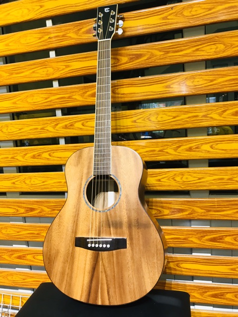 Đàn Guitar việt Mini