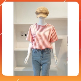 Áo thun sọc cotton atn6