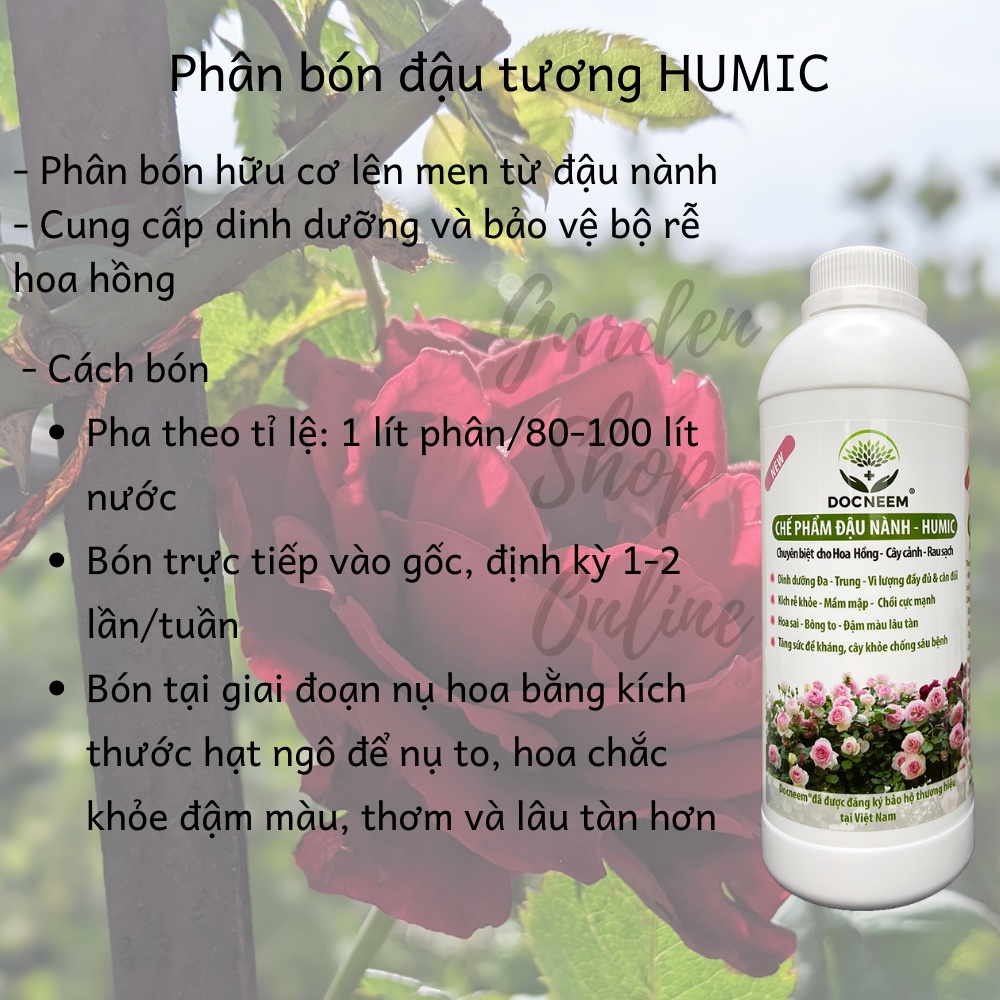 Phân bón cho hoa hồng Dịch chuối - Kích hoa - Đậu tương