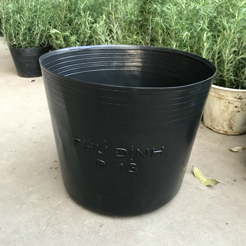 Bầu ươm cây cứng D13, chậu nhựa đen trồng cây kích thước 35x29cm