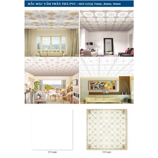 Tấm Trần Nhựa Thả 3D 60cm x 60cm Nhiều Mẫu Mã (Hàng Công Ty Nhựa Đông Á)