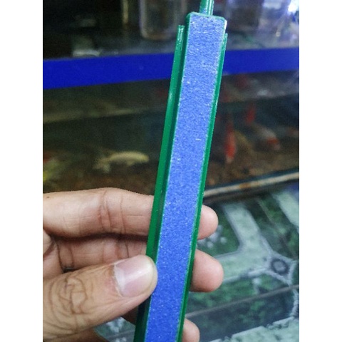 Thanh sủi Oxy 20cm- 50cm chuyên dùng cho bể cá