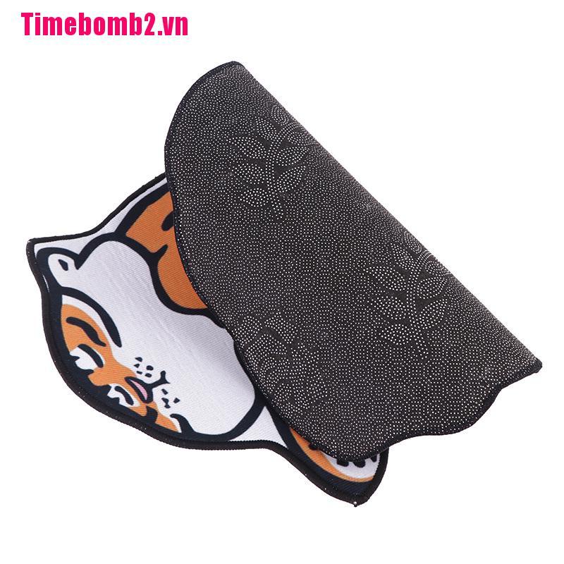 Thảm Chùi Chân Chống Trượt Họa Tiết Hoạt Hình