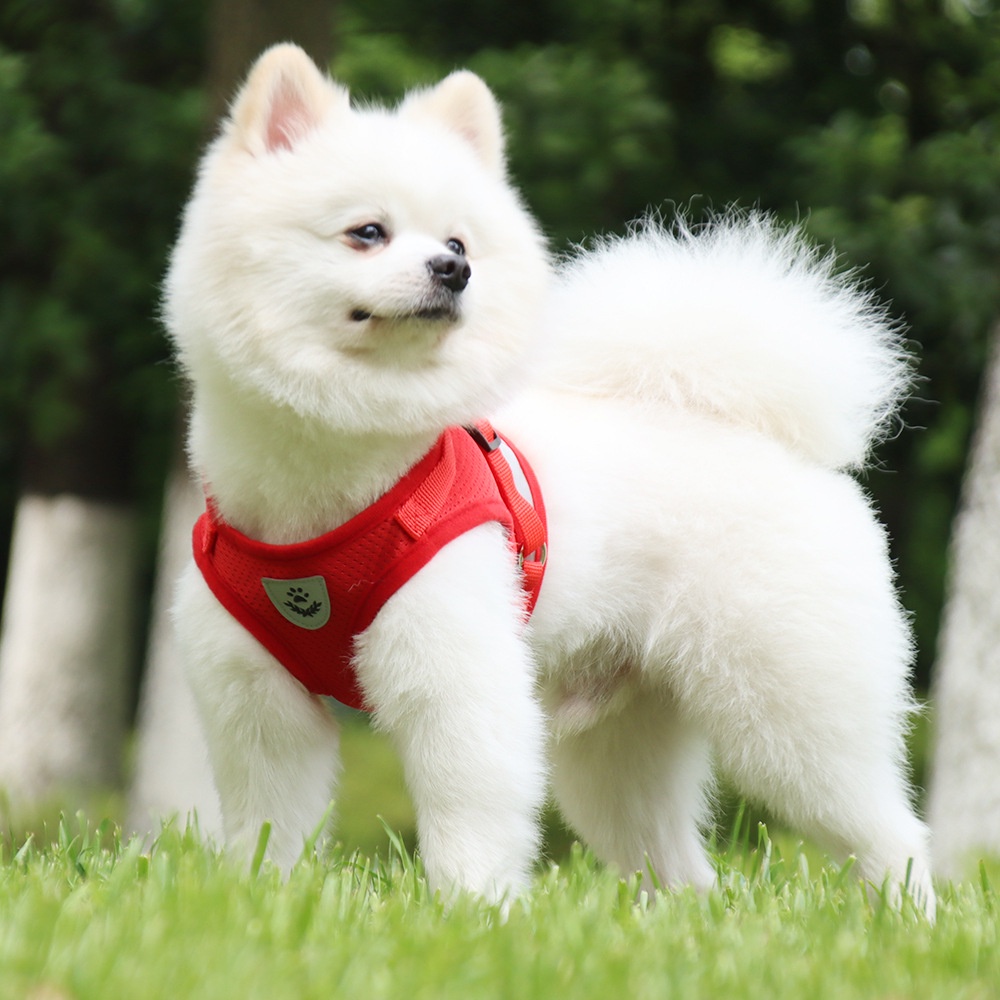 Yếm dắt chó Yeupet kèm dây chắc chắn thoáng khí có viền phản quang đi dạo ban đêm.