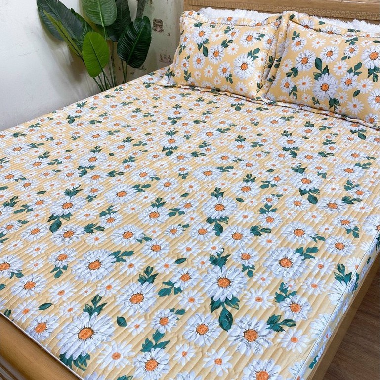 Combo 3 Món Ga Gối Cotton Poly Trần Bông Dày Dặn Hàng Đẹp ( Ảnh Thật) Nhiều Màu Chọn Lựa Mẫu HOA CÚC VÀNG