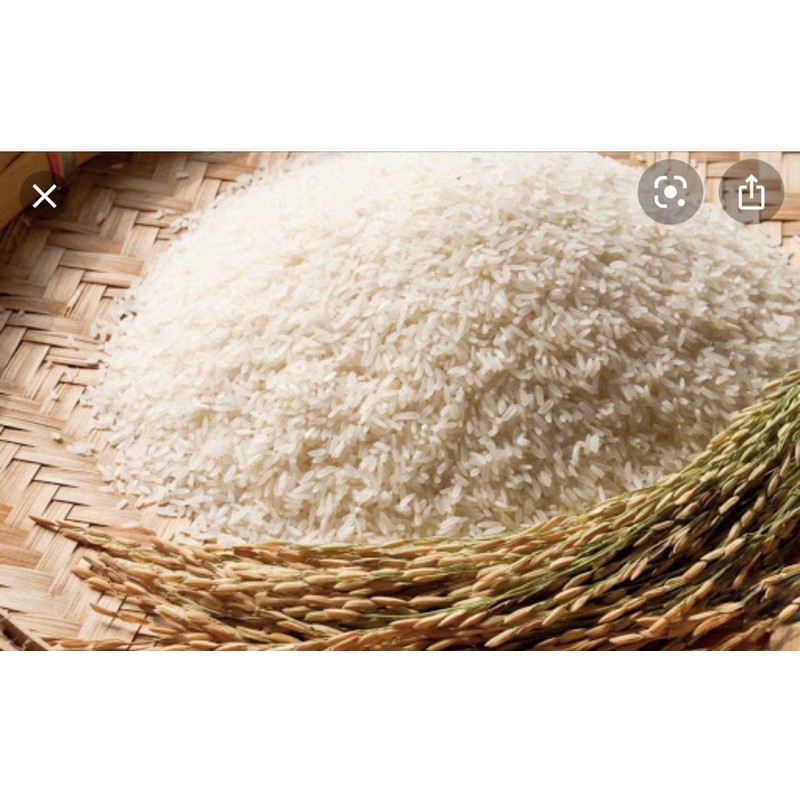 gạo bắc hương - gạo bắc thơm( có bán sỉ)