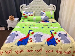 Drap thun Hàn quốc