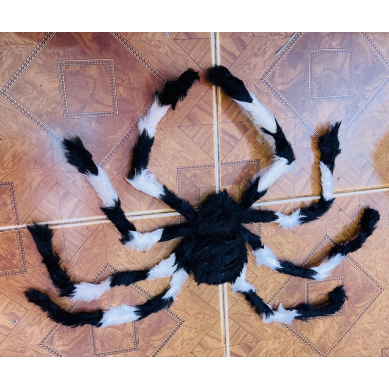 Nhện trang trí HALOWEEN