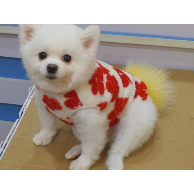 Áo khoác bông họa tiết hoa dành cho thú cưng