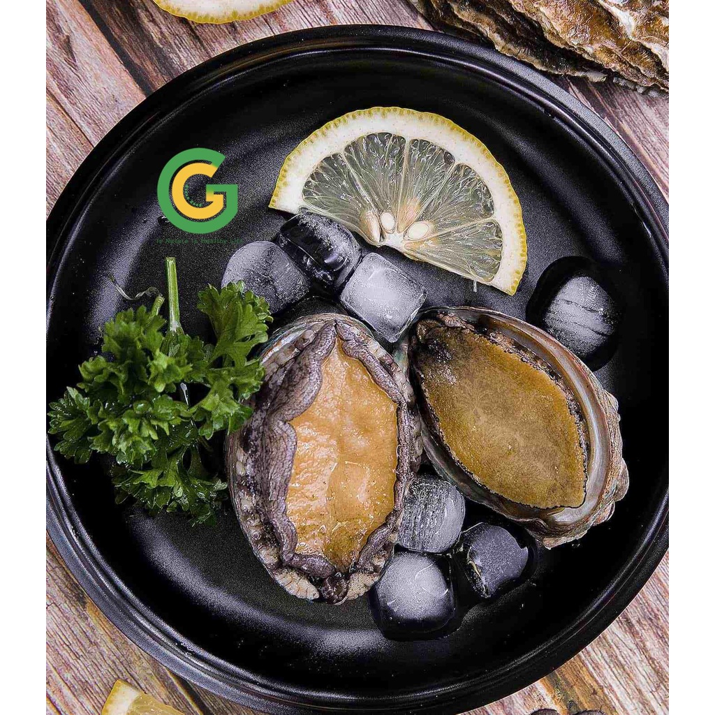 Bào Ngư Hàn Quốc Tươi Nhập Khẩu Green Good Chế Biến Nướng, Cháo, Hầm 1Kg