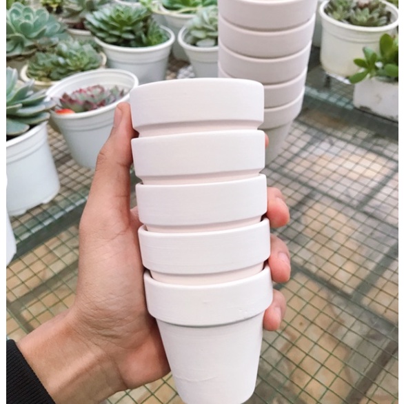 CHẬU ĐẤT NUNG BÁT TRÀNG TRỒNG SEN ĐÁ, XƯƠNG RỒNG