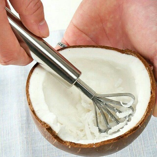 Dụng cụ nạo dừa đánh vẩy cá inox DD01