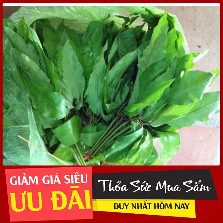 1kg lá lằng khô nghệ an - lá lằng nấu canh cực ngon mùa hè