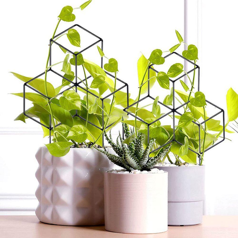 Giá Đỡ Cây Dây Leo Dùng Trang Trí Sân Vườn