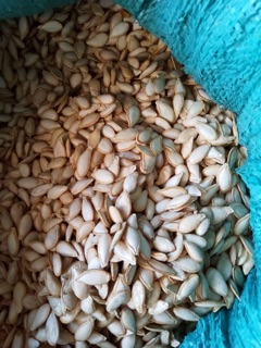 Hạt bí đỏ