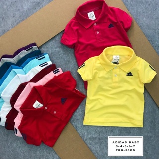 SET gia đình