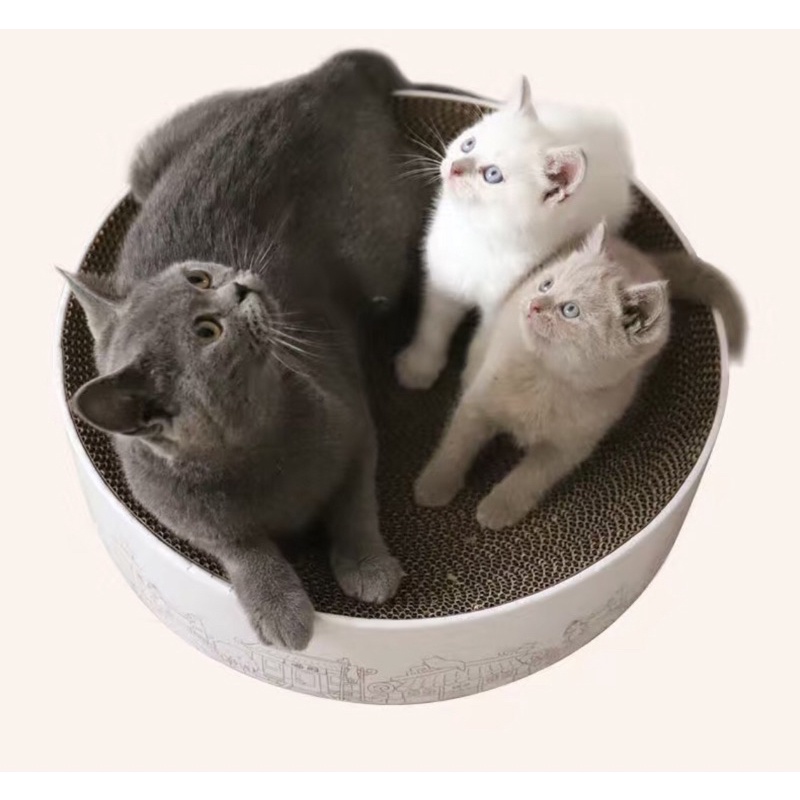 Bàn cào móng hình tròn size bự - Ổ nằm cho mèo tặng catnip kích thước 41x10cm