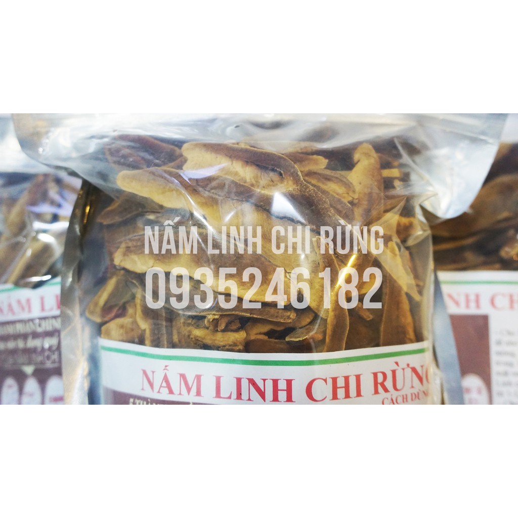 Nấm linh chi rừng