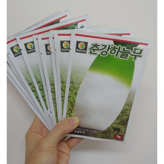 [Hạt giống Hàn Quốc] Hạt giống củ cải Hàn Quốc (gói zin 500 hạt)