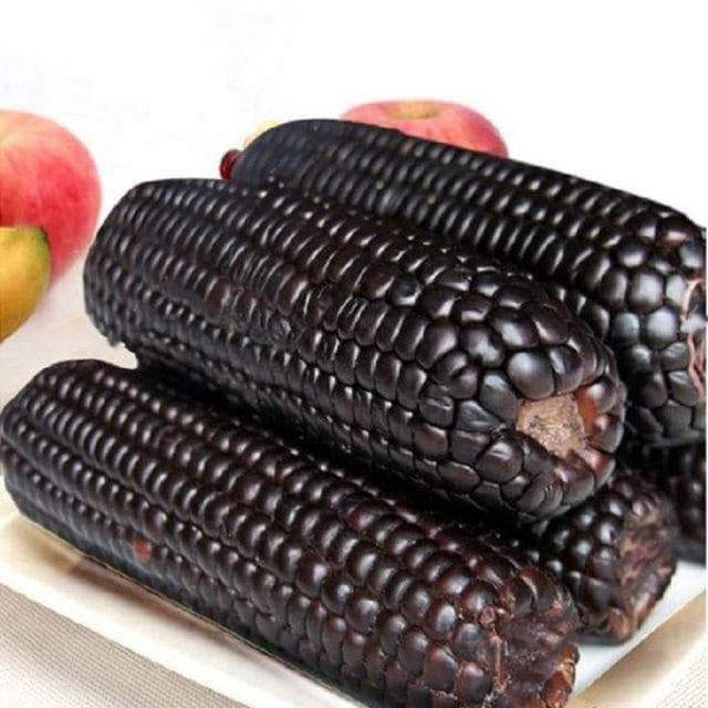 Hạt giống ngô đen