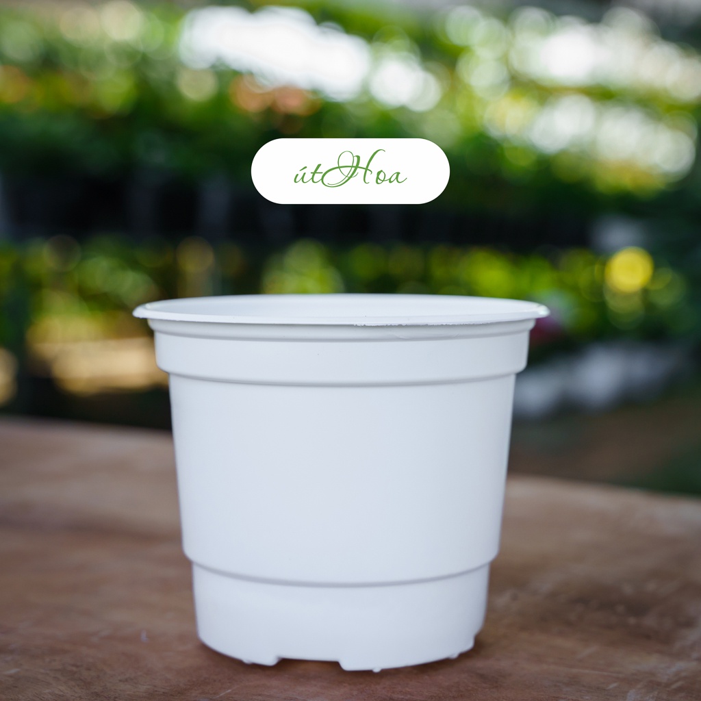 50 chậu nhựa trắng T15 (15x12.5 cm) trồng hoa, trồng cây