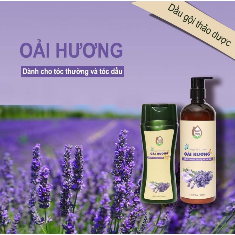 Dầu 2 in 1gội kèm xả thảo dược chai 500ml