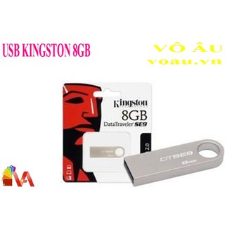 USB KINGSTON 8G