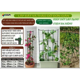 Giàn dây leo đa năng 60x120 dùng để làm giàn dây leo cho cây tiện lợi dễ lắp ráp