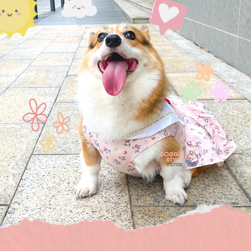 Áo Váy Thun Ba Lỗ DoggoStyle Vải Cotton Co Giãn Mùa Hè Cho Chó Lớn Size Bự Corgi Bull Pháp Pug Mặt Xệ Lạp Xưởng