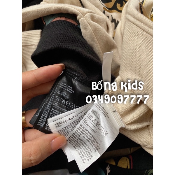 Áo Nỉ Hoodie Bé Trai In Hình HaM