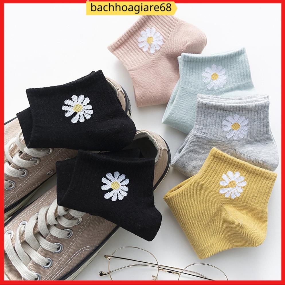 [Có Sỉ] Tất hoa cúc hot túi hoa cúc 10 đôi/túi