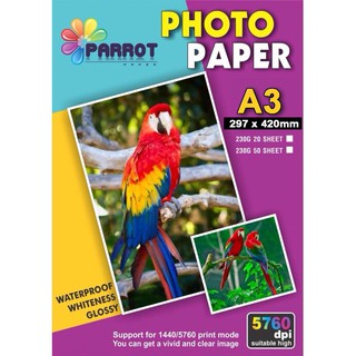 Giấy in ảnh 1 mặt A3 - 50 tờ định lượng 230g