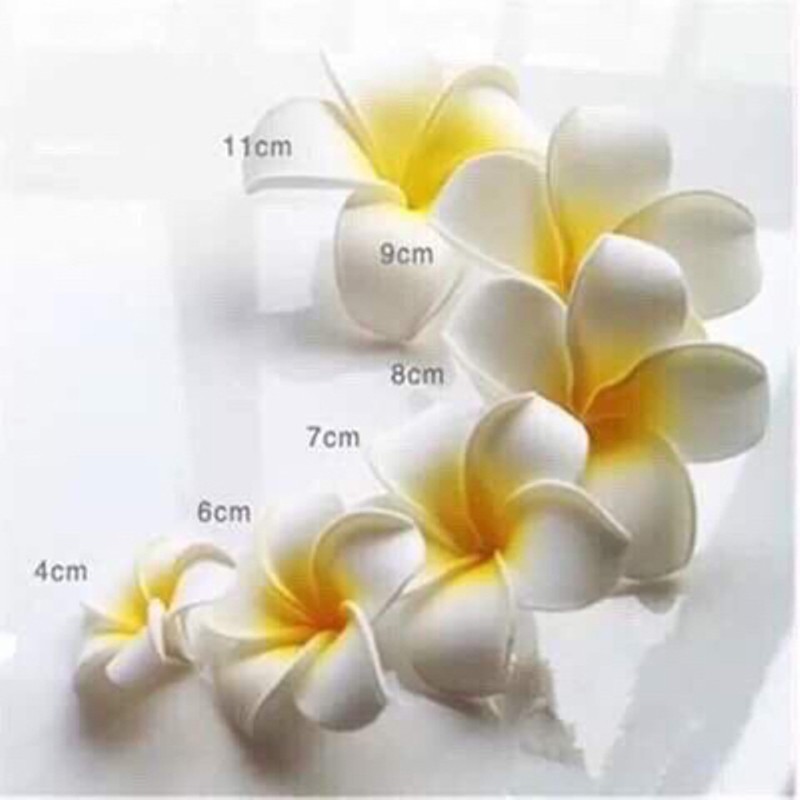 Sỉ 140 bông hoa đại cài đầu kích thước 7cm~8cm