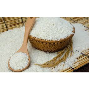 Gạo nếp cái Hoa Vàng 1Kg, 2Kg - Thái Dương