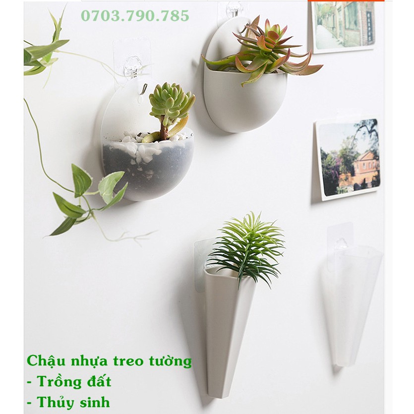 Chậu nhựa trồng cây treo tường-TẶNG MÓC TREO