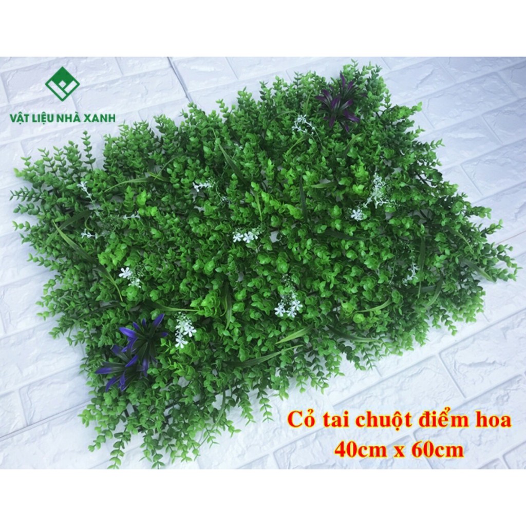 (HCM) Thảm Cỏ Treo Tường - Cỏ Tai Chuột Điểm Hoa 40*60cm Giá Tốt Nhất