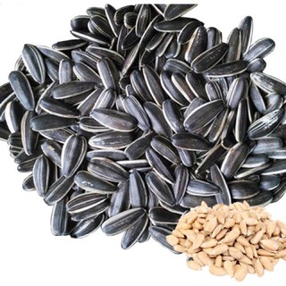 500gr Hướng dương ta loại 1 thơm ngon nhà rang - Sỉ 5x (Khách đặt mới rang)