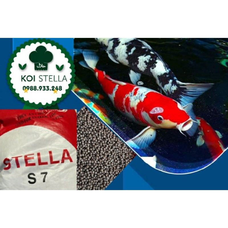 Cám Koi STELLA S7 dành cho cá Koi|1 Kg