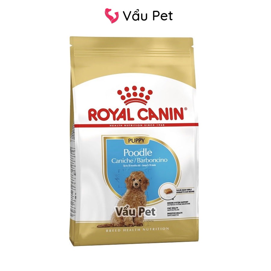 Thức ăn cho chó Royal Canin Poodle 500g - Hạt cho chó poodle, chó con, chó lớn Vẩu Pet Shop