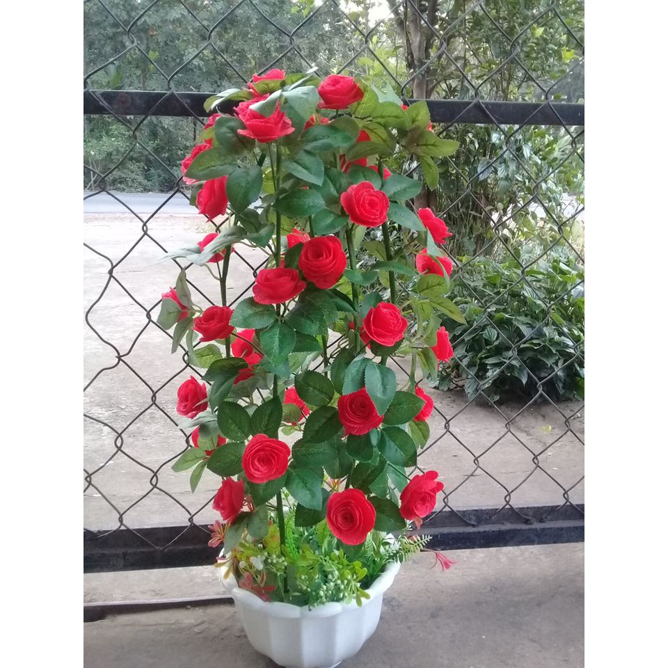 Bộ nguyên liệu 1 cây hoa hồng leo+ bình giả sứ