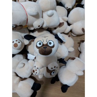 chó mặt quạu.nhăn.size 20cm