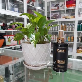 Xịt dưỡng tóc Kassi 250ml