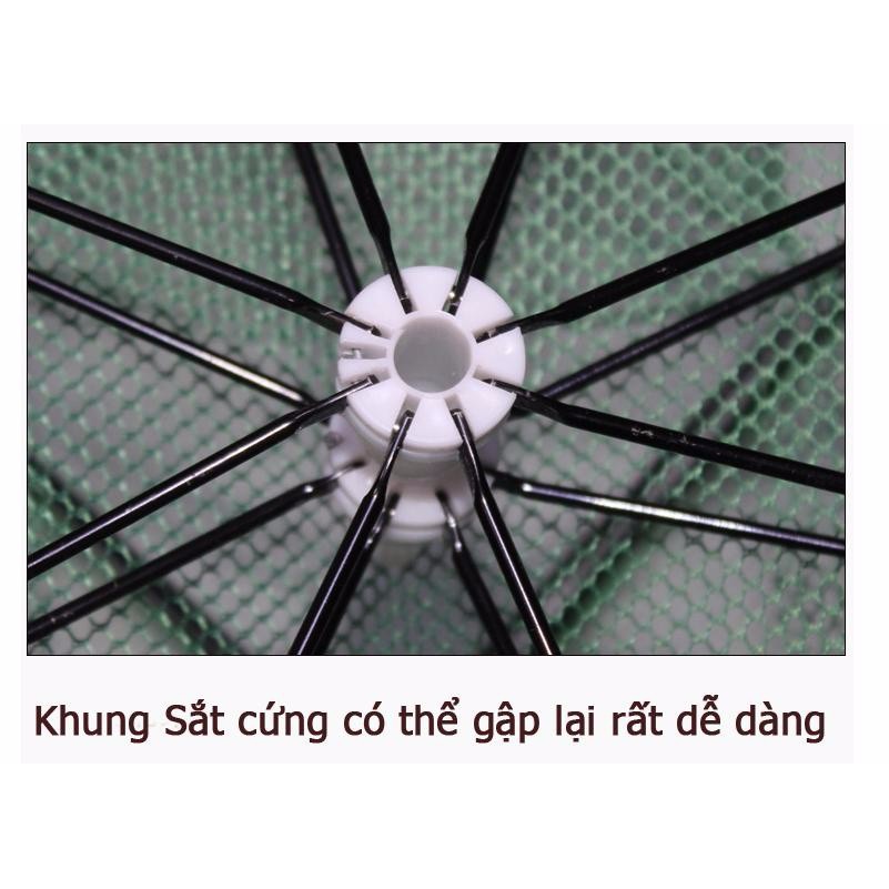 Lưới bắt cá bát quái